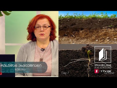 ბუნება, V კლასი - ნიადაგი და მისი მნიშვნელობა #ტელესკოლა