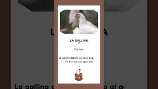 Learn Italian with farm animals 🇮🇹  #italianlanguage #easyitalian #italiano #studyitalian