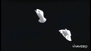 Şi̇i̇r Bi̇r İnti̇kam Gi̇bi̇ Çildirmislar Bu Sevdalar