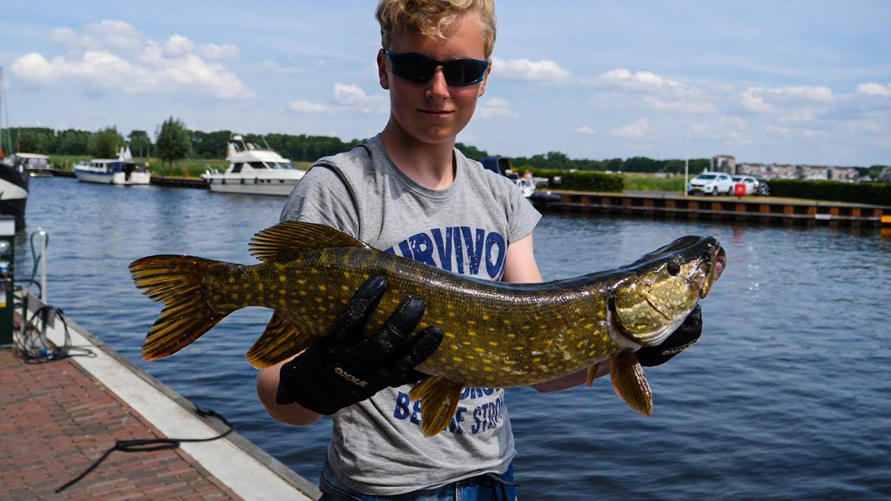 7 GROTE VISSEN GEVANGEN! SNOEK - FOREL Afl37