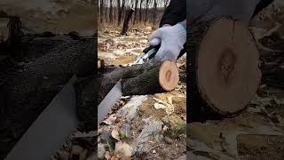 Effortless Wood Cutting with a High-Performance Folding Hand Saw