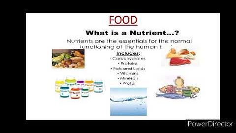 Grade 7 State:Science-Bridge Course