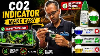 CO2 Indicator Explained for Planted Aquarium Beginners