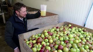 Loss-making orchards torn down in the 'Garden of England'