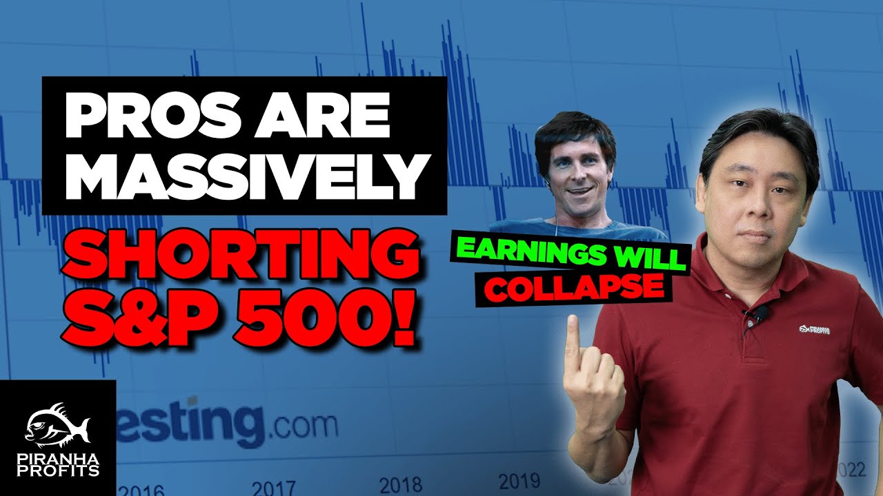 Pros are Massively Shorting the S&P 500!