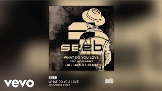 Смотреть клип Seeb - What Do You Love (Zac Samuels Remix) Ft. Jacob Banks