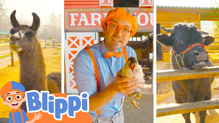 Blippi besöker en djurpark | Bästa djurvideorna för barn | Barnsånger och barnvisor