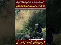 Police vs Public