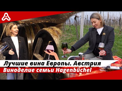 Мировые стандарты австрийского вина. Экскурсия по винодельне 🇦🇹🍷#Австрия #Вена #Вино