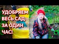 Осенние подкормки сада. Универсальное удобрение для роз, кустарников, плодовых деревьев.