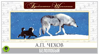 А.П. ЧЕХОВ «БЕЛОЛОБЫЙ». Аудиокнига. Читает Александр Котов