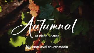 Autumnal - 10 FREE Motion Backgrounds