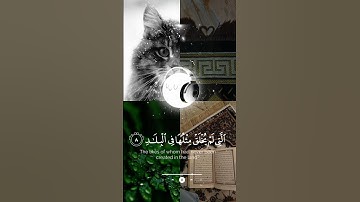 والفجر وليال عشر والشفع والوتر _لايك _فولو_شير _قران كريم #likeandsubscribe