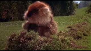 I'm Alright - Kenny Loggins - Caddyshack Theme (SPOILERS!)
