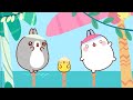 WILD ADVENTURE TIME with Molang ☀️ | Compilation For Kids