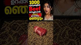 Beef 🍖1000 പുഴുക്കളിൽ 🐛 വെച്ചാൽ എന്ത് സംഭവിക്കും🥶😱 #shorts #mrzthoppi #m4tech