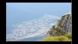 LOVE WAS MY ALIBI - KRIS FOGELMARK The Water Diviner