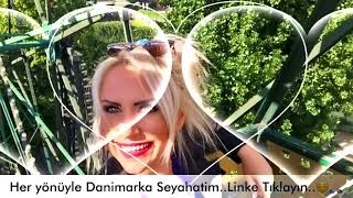 Varyaglar Dani̇markaya Çikarsa , Normanlar Ne Yapar ?