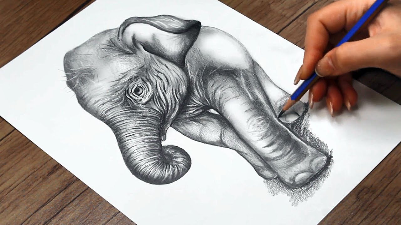 how to draw realistic baby animals