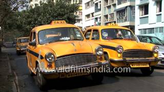 Yellow Hindustan Ambassador Taxi cabs of Kolkata