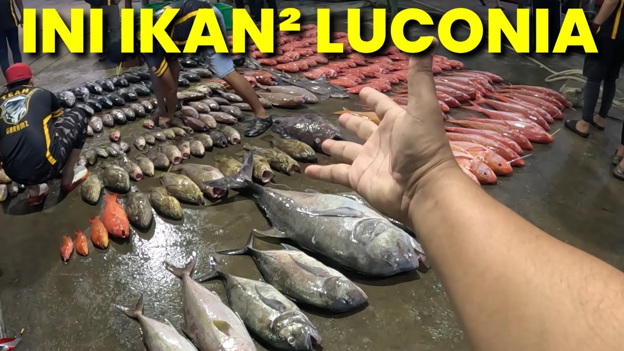 Mmg BANYAK IKAN DI LUCONIA ni | VLOG #386 Part 4