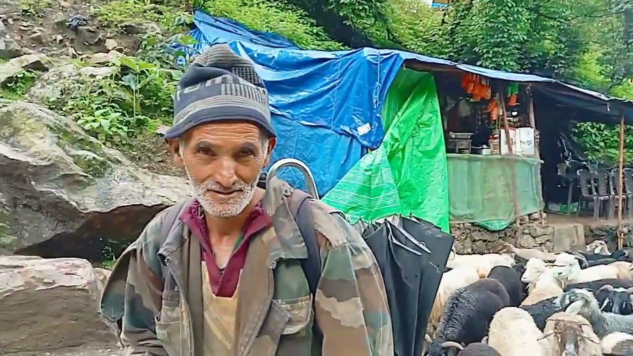 बाबा केदार के बुग्यलो के लिए हजारों भेड़ बकरियां रवाना