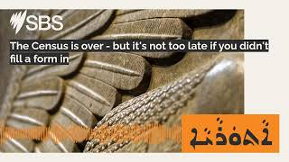The Census is over - but it's not too late if you didn't fill a form in | SBS Assyrian