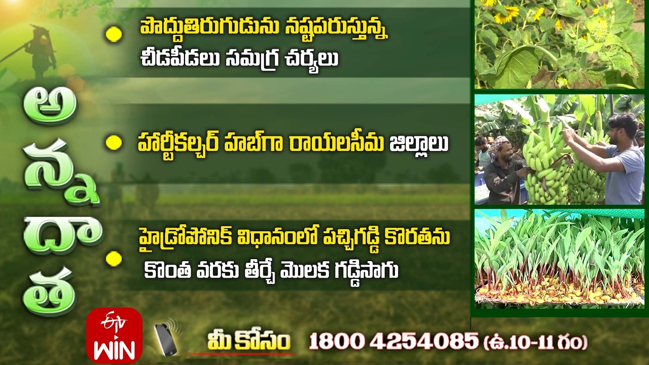 7th March 2026 | Annadata | అన్నదాత | Full Episode | ETV Telugu