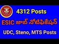 4312 Posts | ESIC UDC, Steno, MTS | త్వరగా APPLY చేయండి