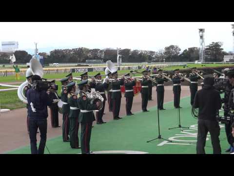 【4K】2015.11.29 第35回ジャパンカップGⅠファンファーレ 陸上自衛隊生演奏