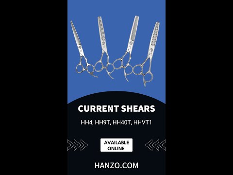 Shear Ambitions Acworth