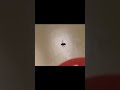 Ð¯ Ñ‡Ñ‚Ð¾, ÑÑ‚Ð°Ð» Ñ‡ÐµÐ»Ð¾Ð²ÐµÐºÐ¾Ð¼ Ð¿Ð°ÑƒÐºÐ¾Ð¼?