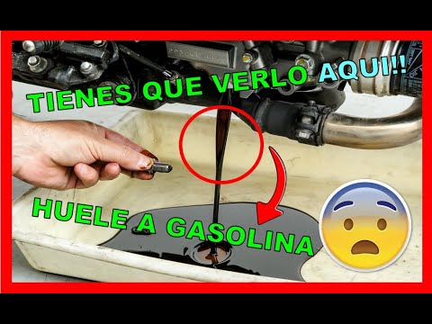 Noble personalizado Resolver 🔥 PORQUE El ACEITE Huele a GASOLINA (3 CAUSAS POSIBLES)⚠️TIENES QUE  VERLO!!! - YouTube