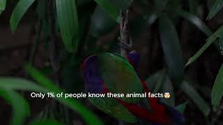 Animal Facts that Sound Fake 😳(But Are Real!)