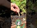 ดินสอปลูกได้ | TOGE トゲ