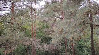 видео: Простой сотрудник должен быть всегда финансово зависимым. Он удобен руководству картинка: Простой сотрудник должен быть всегда финансово зависимым. Он удобен руководству