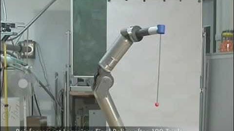 Learning Motor Primitives for Robotics