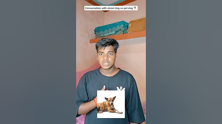 Conversation with street dog vs Pet dog 🐕😂 #comedy #funny #animals