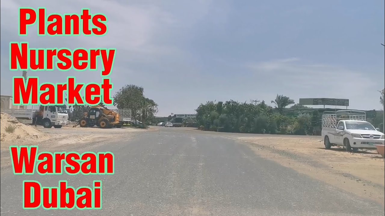 Plants Nursery Market Warsan Dubai YouTube