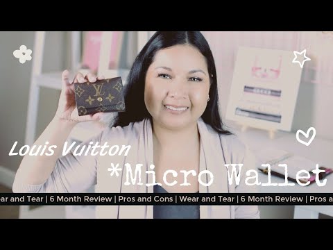 Louis Vuitton Micro Wallet Review