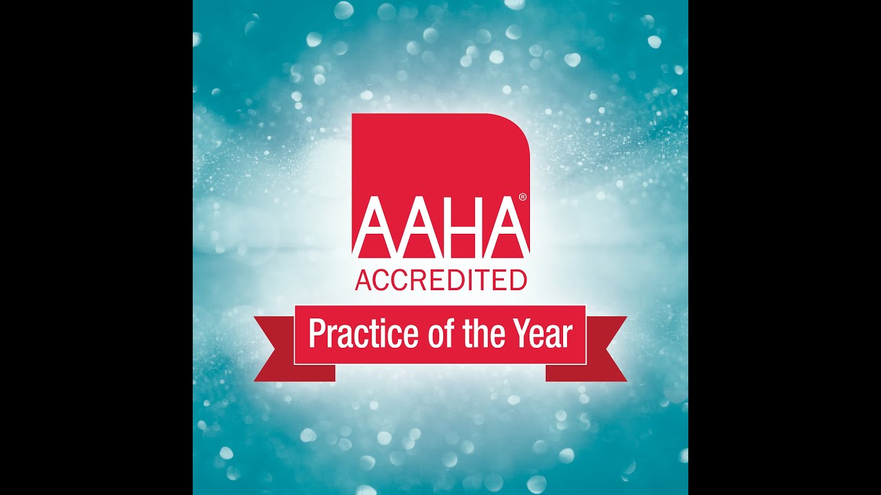 2023 AAHA Accredited Practice of the Year Finalists!