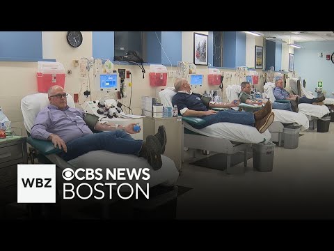 Four friends committed to bi-monthly platelet donation in Boston