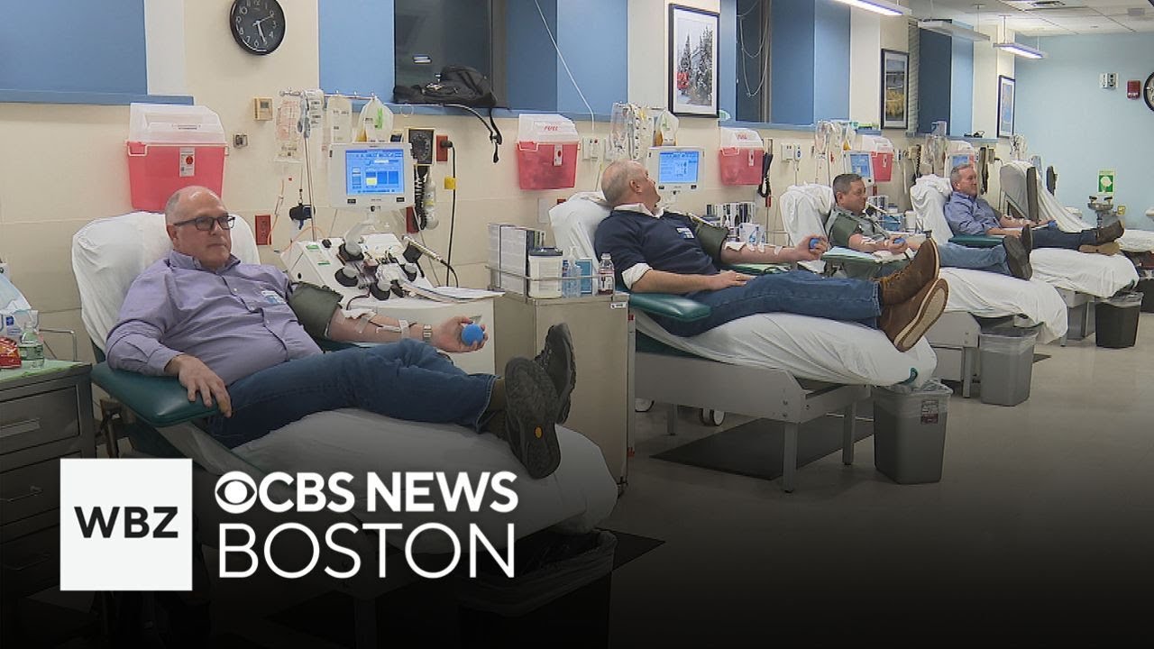 Four friends committed to bi-monthly platelet donation in Boston