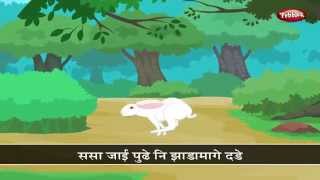 Sasa Toh Sasa | Sasa Ani Kasav | Top Marathi Nursery Rhymes For Kids | Popular Marathi Rhymes Resimi
