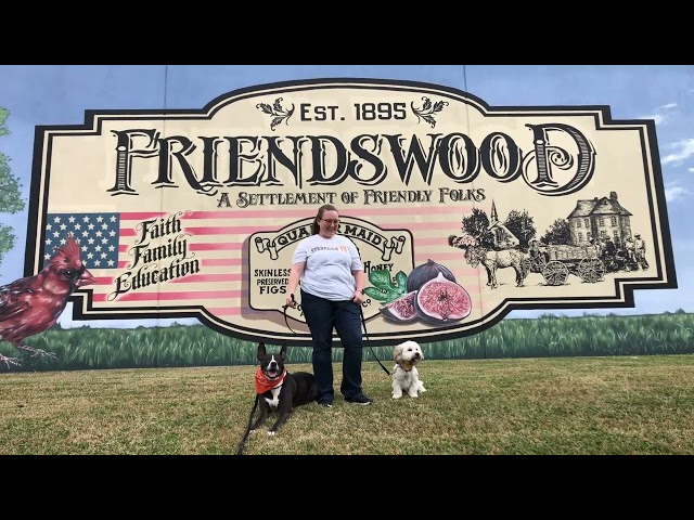 Friendswood TX Dog Training