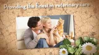 Pets on Broadway