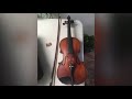 Violín Stradivarius 1731 en venta