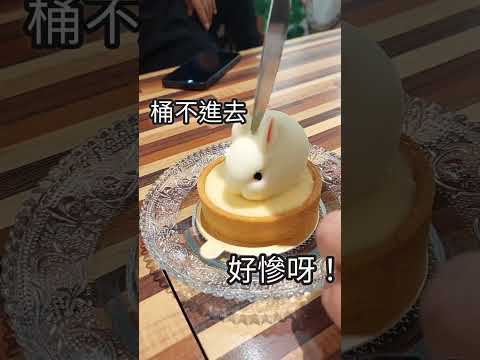 世界真細小的3角關係！內有殘忍鏡頭! #移民台灣 #美食 #吃兔兔