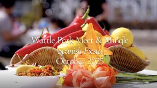 Wattle Park Meet your Neighbour Event Recap 2025