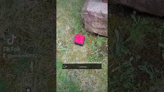 Charles Thomson family plot south glens falls cemetery south glens falls NY #paranormal#cemeteries